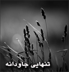 تنهایی جاودانه